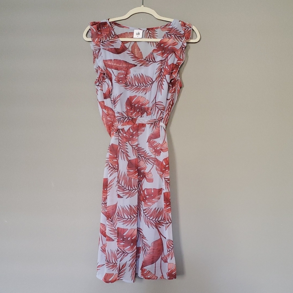 Cabi Isabel Dress